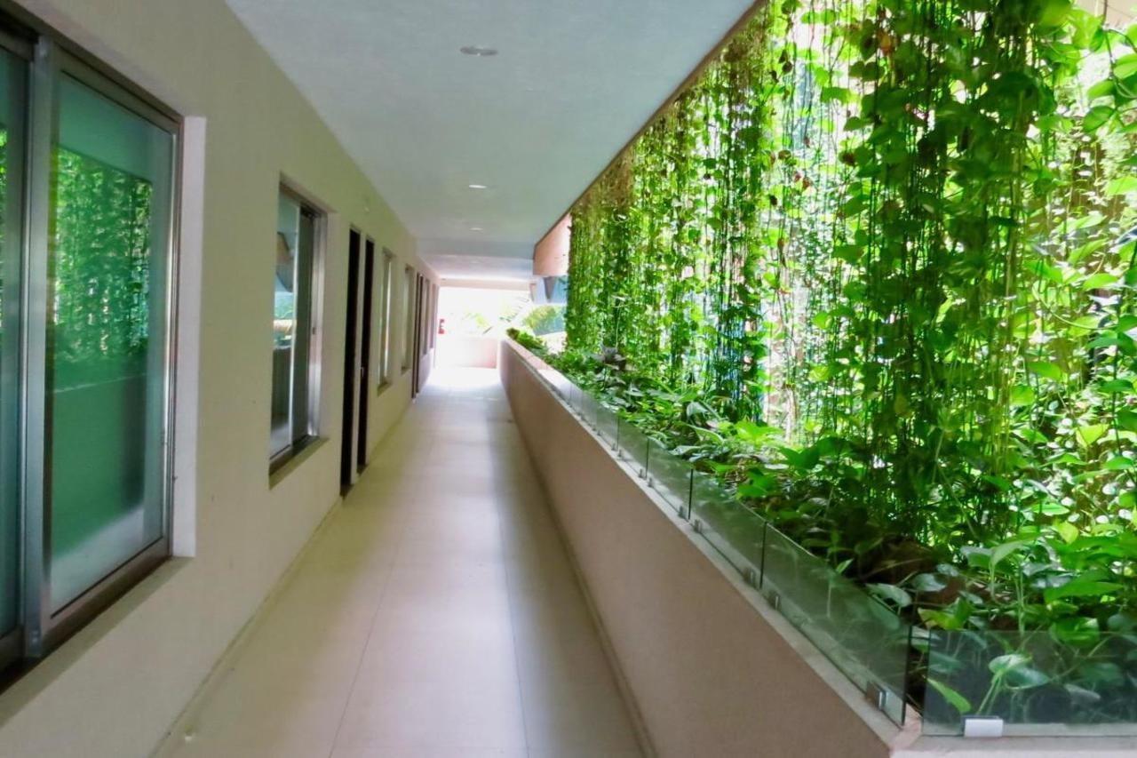 Palmarena Rooms & Residences - Long Stay Comfort With Parking, Sauna, Gym & Pool - Steps From 5Th Avenue Playa del Carmen Luaran gambar